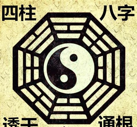 透出天干|如何理解透干与通根(建议收藏)